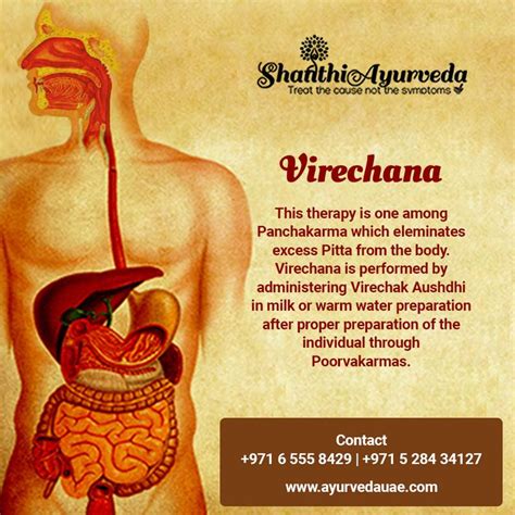 verechan|Virechana Treatment: An Ayurvedic Deep Clean